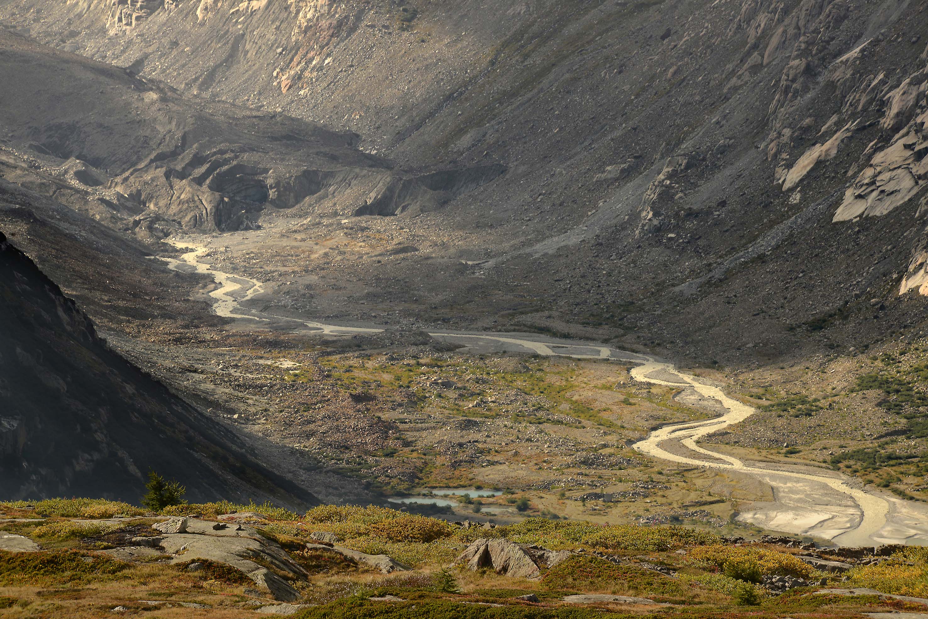 La source de l´Aar